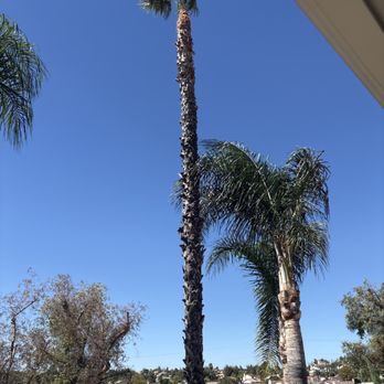 Golden Oaks Tree Care - Tree Services Near Me Golden Oaks Tree Care - Tree Services Near Me