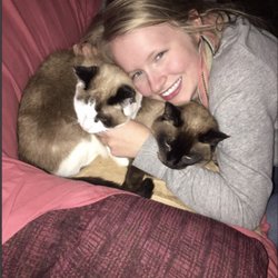 Bay Veterinary Clinic