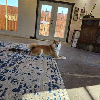JMC Cellars - Oso enjoyed himself - Wineries Near Me - Livermore, California JMC Cellars - Oso enjoyed himself - Wineries Near Me - Livermore, California