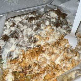 I got the loaded fries