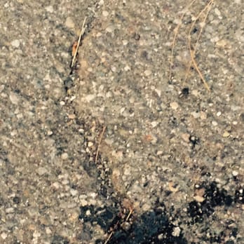 Sierra Maintenance - Randomly chose which cracks to fill. - Masonry/Concrete Near Me - Reno, Nevada Sierra Maintenance - Randomly chose which cracks to fill. - Masonry/Concrete Near Me - Reno, Nevada