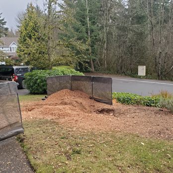 J & J Stump Grinding - Tree Services Near Me - Renton, Washington