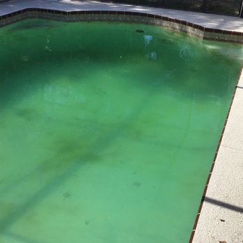 Pool Aid - This is after a month of them not doing the job they were paid to do - Hot Tub & Pool Near Me - Spring Hill, Florida