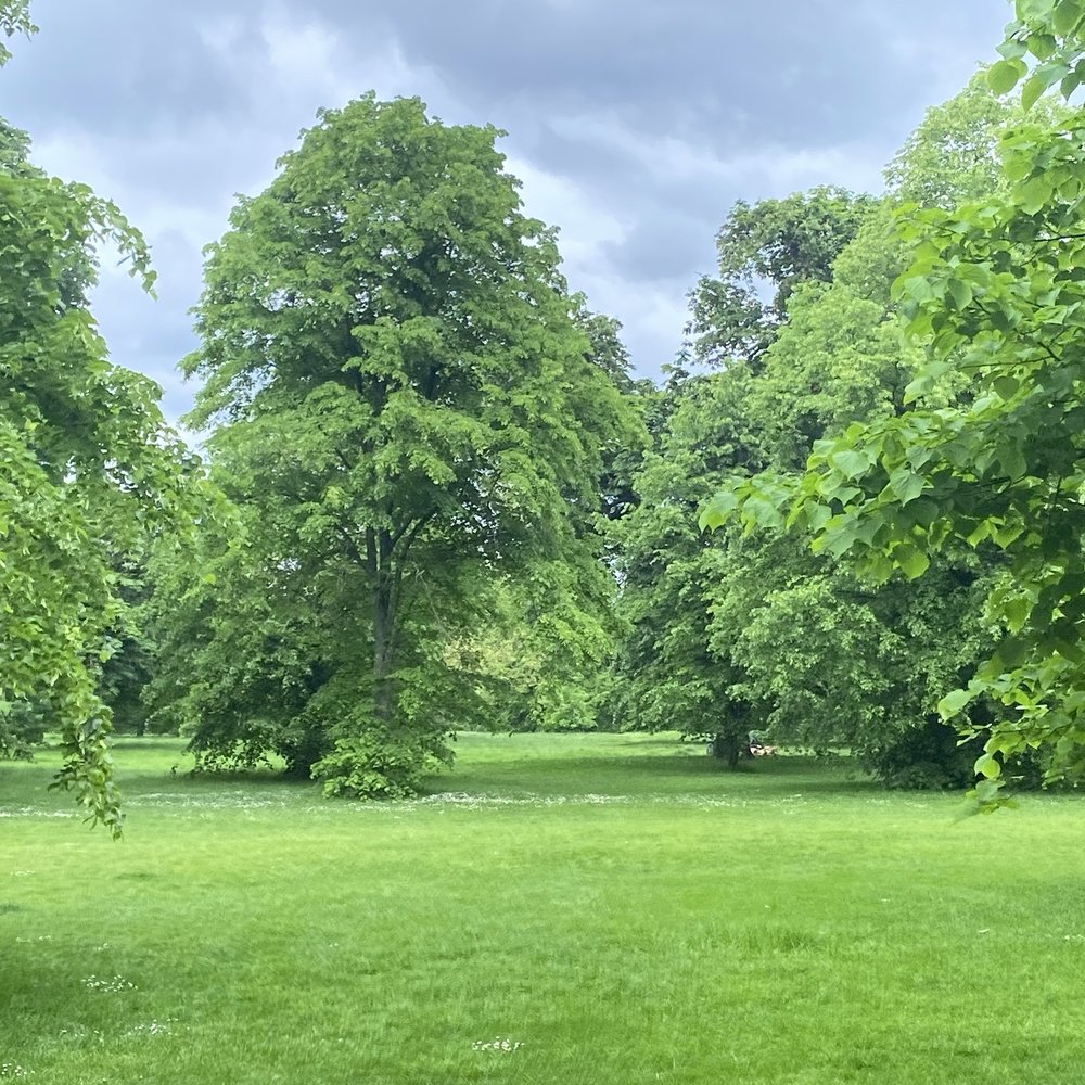 Kensington Gardens - Kensington Gardens - Parks Near Me - London, XGL