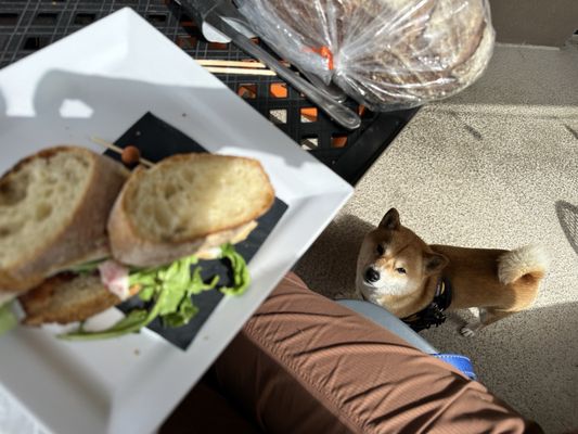 Evergreen Bread & Cocktail Lounge by null