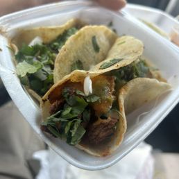 Al pastor taco Al pastor taco