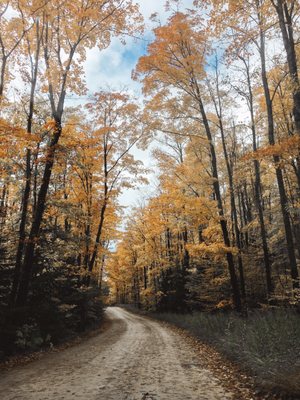 Miners Falls by null