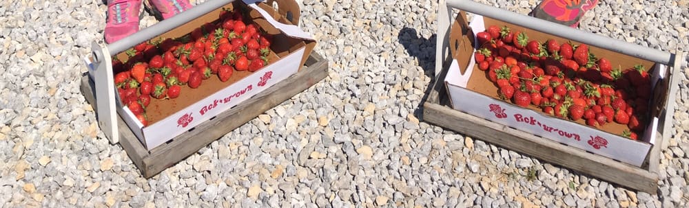 Social spots from Stokes Berry Farm