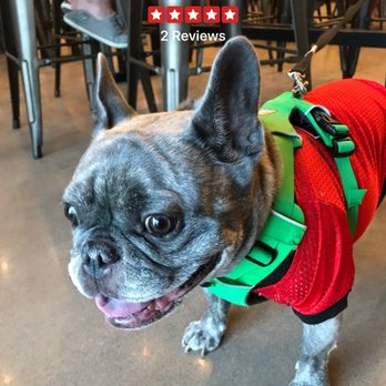 Cork & Growler - Bring your dogs! - Wine Bars Near Me - Frisco, Texas