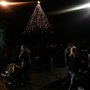 Photo of Lighting of America's Tallest Living Christmas Tree