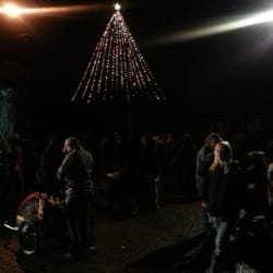 Lighting of America's Tallest Living Christmas Tree