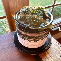Stein's Garden & Home