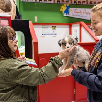 parrots king pet shop