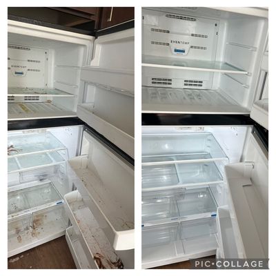 Shine Environmental Solutions & Hauling