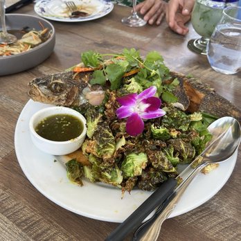 Bungalow on Rose - Whole Fish " Branzino" - Thai Near Me - Danville, California Bungalow on Rose - Whole Fish " Branzino" - Thai Near Me - Danville, California