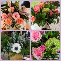 Bella Fiori of Rhinebeck