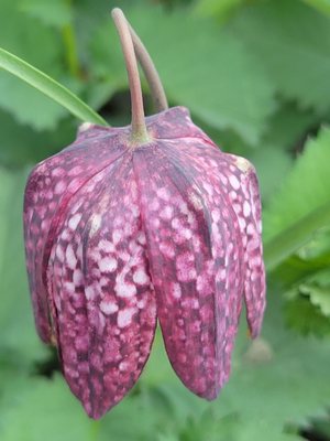 University of Alaska Anchorage by null