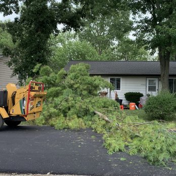 Great View Tree Service - Tree Services Near Me