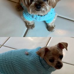 Woof Gang Bakery & Grooming Yamato
