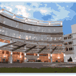 Executive Health Group