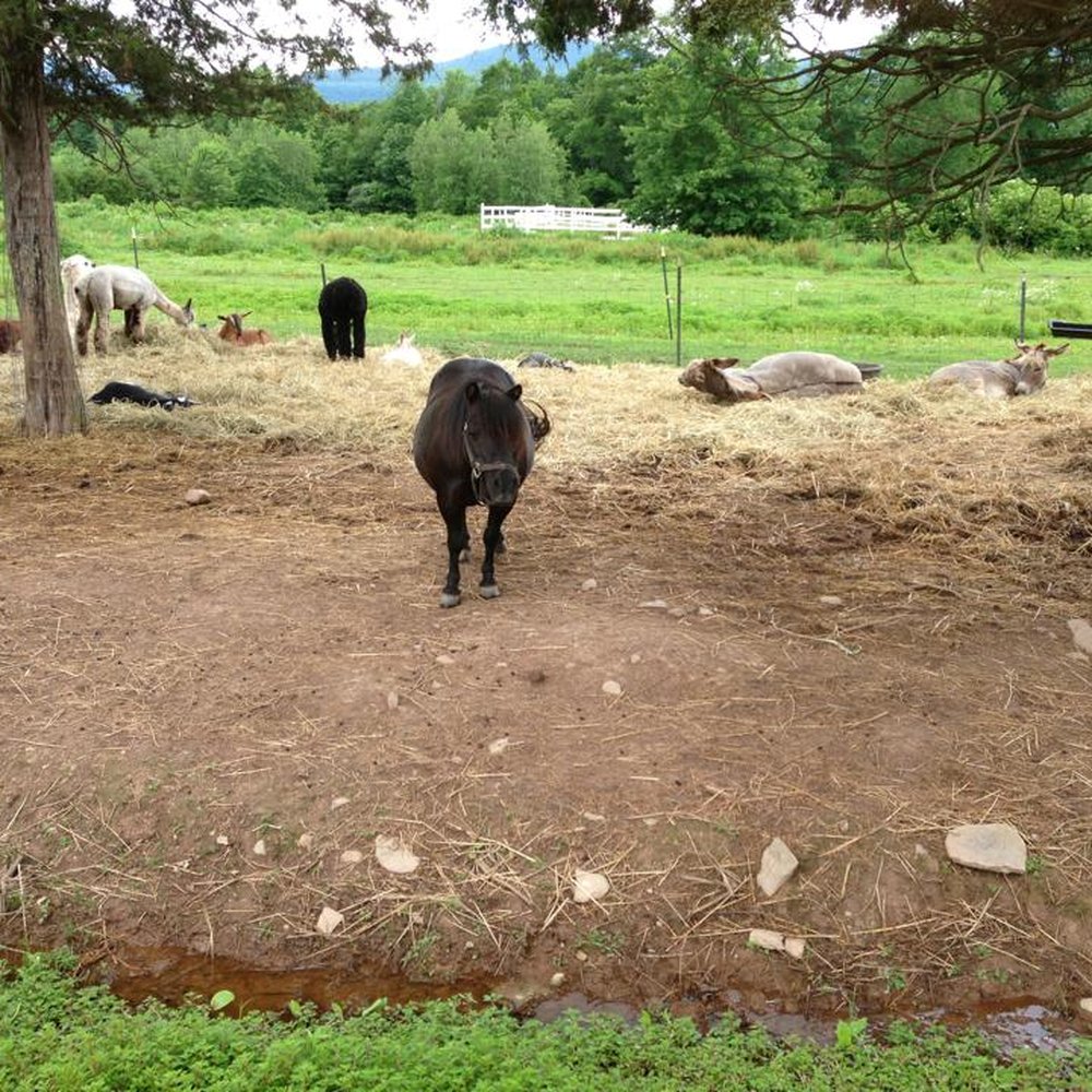 The Kaaterskill - Venues & Event Spaces Near Me - Catskill, New York The Kaaterskill - Venues & Event Spaces Near Me - Catskill, New York