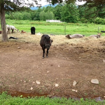 The Kaaterskill - Venues & Event Spaces Near Me - Catskill, New York