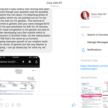 Cozy Cats NY - CozyCatsNY stating she asked her vet, who's never seen my kitten, if what 3 of my vets said is true about his diagnosis. Lies - Pet Breeders Near Me