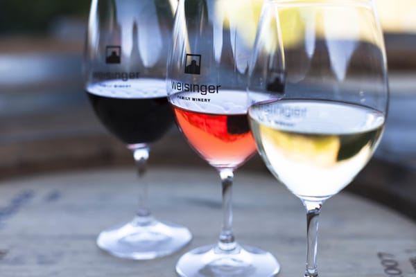 Weisinger Family Winery by null
