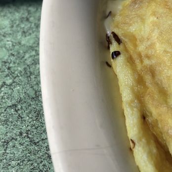 Summit Diner - Hair In my food - Diners Near Me - Toledo, Ohio