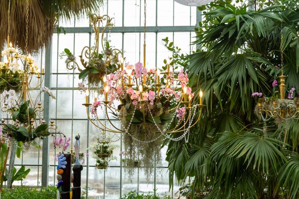 Nicholas Conservatory & Gardens by null