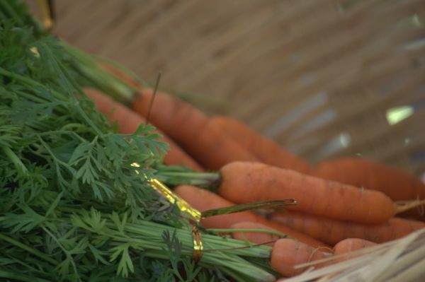 Downtown Growers' Market by null