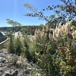 Chattohooche Riverwalk