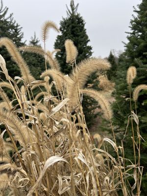 Blake's Orchard & Cider Mill by null