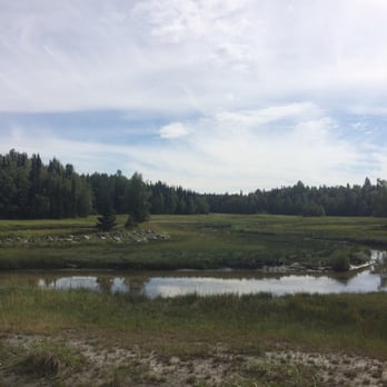 Tony Knowles Coastal Trail - A meandering river through a meadow next to the Trail. - Parks Near Me - Anchorage, Alaska Tony Knowles Coastal Trail - A meandering river through a meadow next to the Trail. - Parks Near Me - Anchorage, Alaska