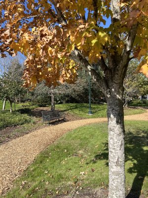 McGovern Centennial Gardens by null