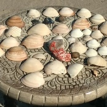 Villa del Palmar Beach Resort & Spa - Hard morning's work. Shells a plenty - Hotels Near Me - Ensenada, BCN Villa del Palmar Beach Resort & Spa - Hard morning's work. Shells a plenty - Hotels Near Me - Ensenada, BCN
