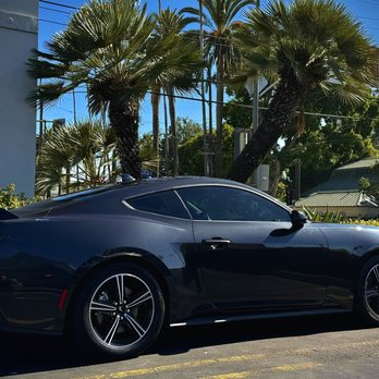 Rapid Window Tinting - Home Window Tinting Near Me - Los Angeles, California Rapid Window Tinting - Home Window Tinting Near Me - Los Angeles, California