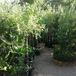 Timberland Tree Farm - Time to plant was yesterday. The sooner you  plant, the faster they grow.