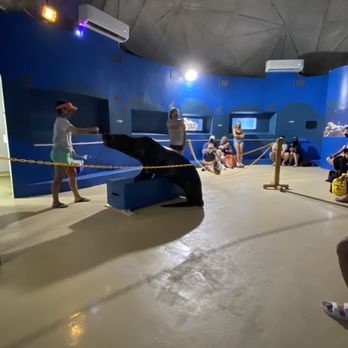 Coral World Ocean Park - Aquariums Near Me - St Thomas, Virgin Islands Coral World Ocean Park - Aquariums Near Me - St Thomas, Virgin Islands