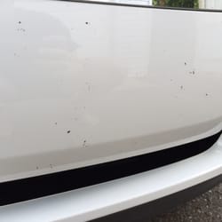 Al's Car Wash - Tough bugs or soft hands?