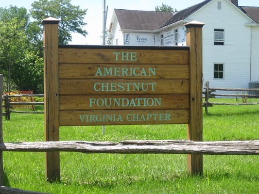 American Chestnut Foundation - Virginia Chapter