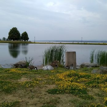 Andrew Haydon Park - Parks Near Me - Ottawa, Ontario