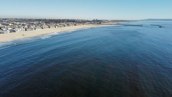 Venice Fishing Pier by null