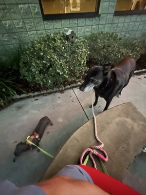 Pit Stop Bar-B-Q by null