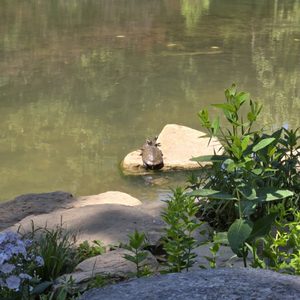 Edith J. Carrier Arboretum - James Madison University on Yelp