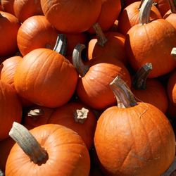 Woodstock Orchards