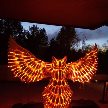 Denver Botanic Gardens - This image doesn't do the Owl justice. It looked look burning embers. Really a cool piece. - Botanical Gardens Near Me - Denver, Colorado Denver Botanic Gardens - This image doesn't do the Owl justice. It looked look burning embers. Really a cool piece. - Botanical Gardens Near Me - Denver, Colorado