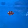 Photo of Tank Smart Aquariums