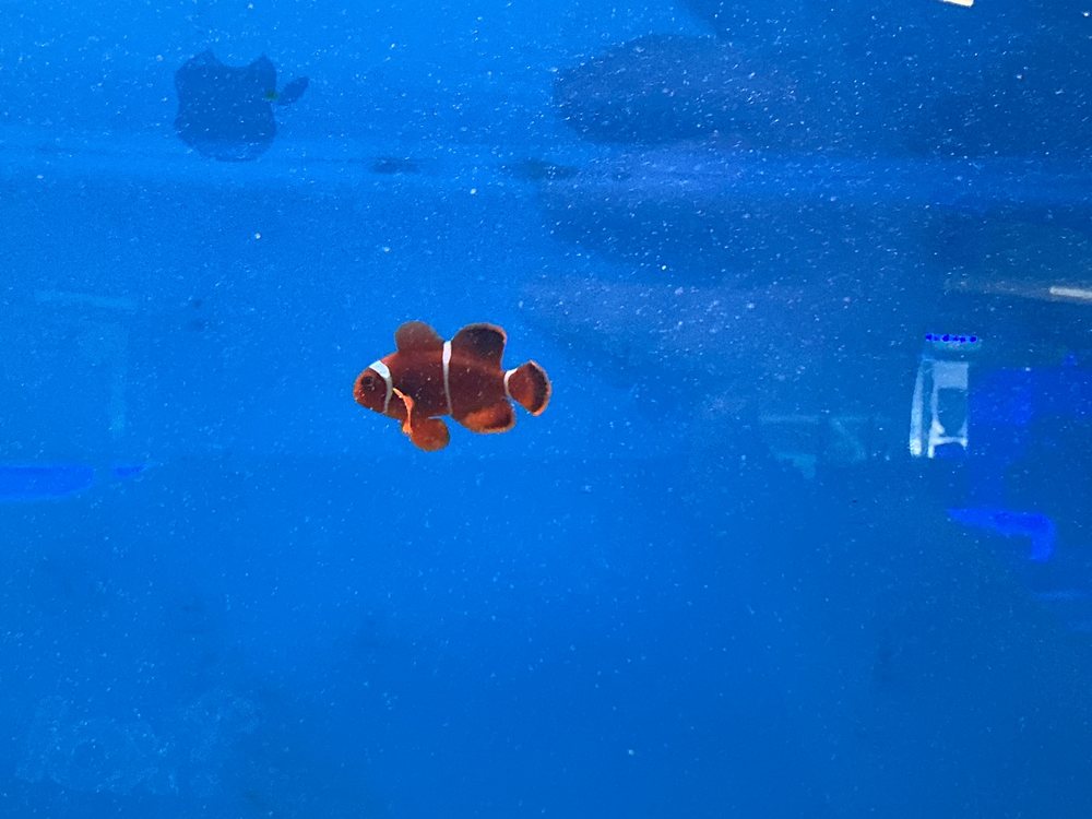 Tank Smart Aquariums Image