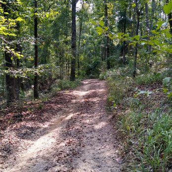 Arkansas Side X Side Adventures - ATV Rentals/Tours Near Me - Kirby, Arkansas